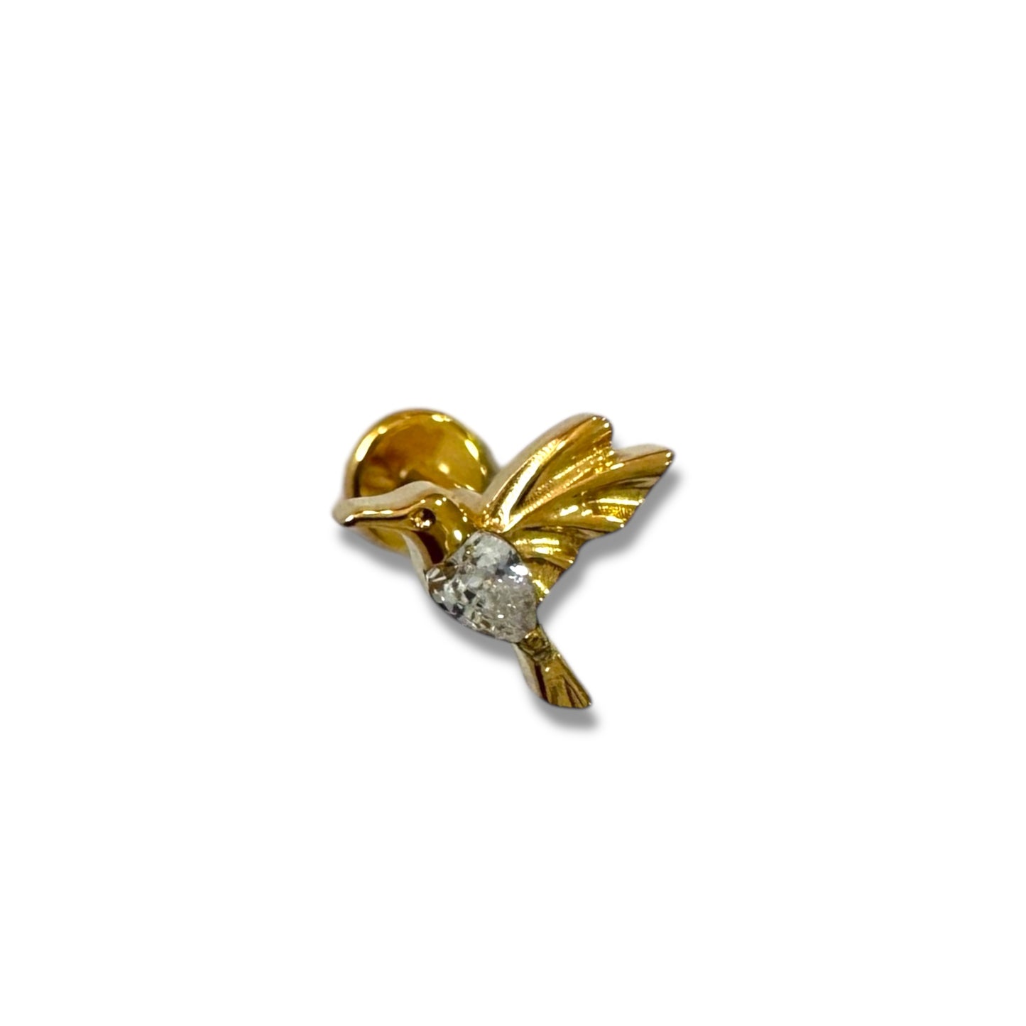 Piercing colibri titanio