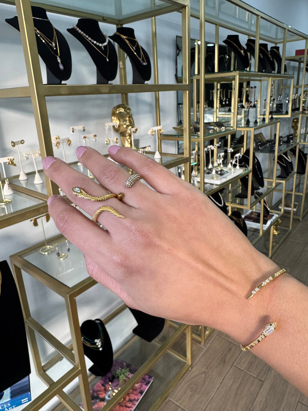 Aria ring