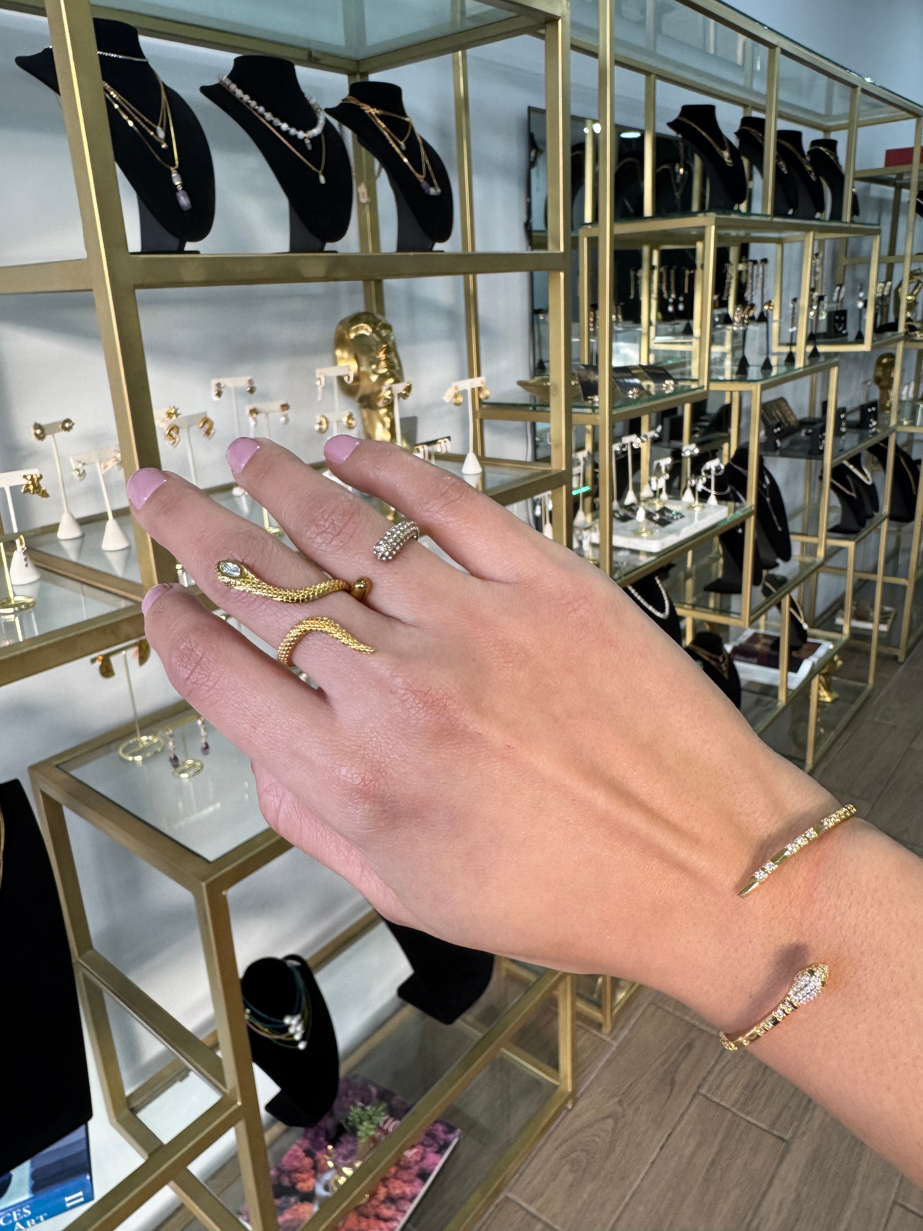 Aria ring