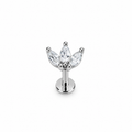 Piercing corona plateada titanio