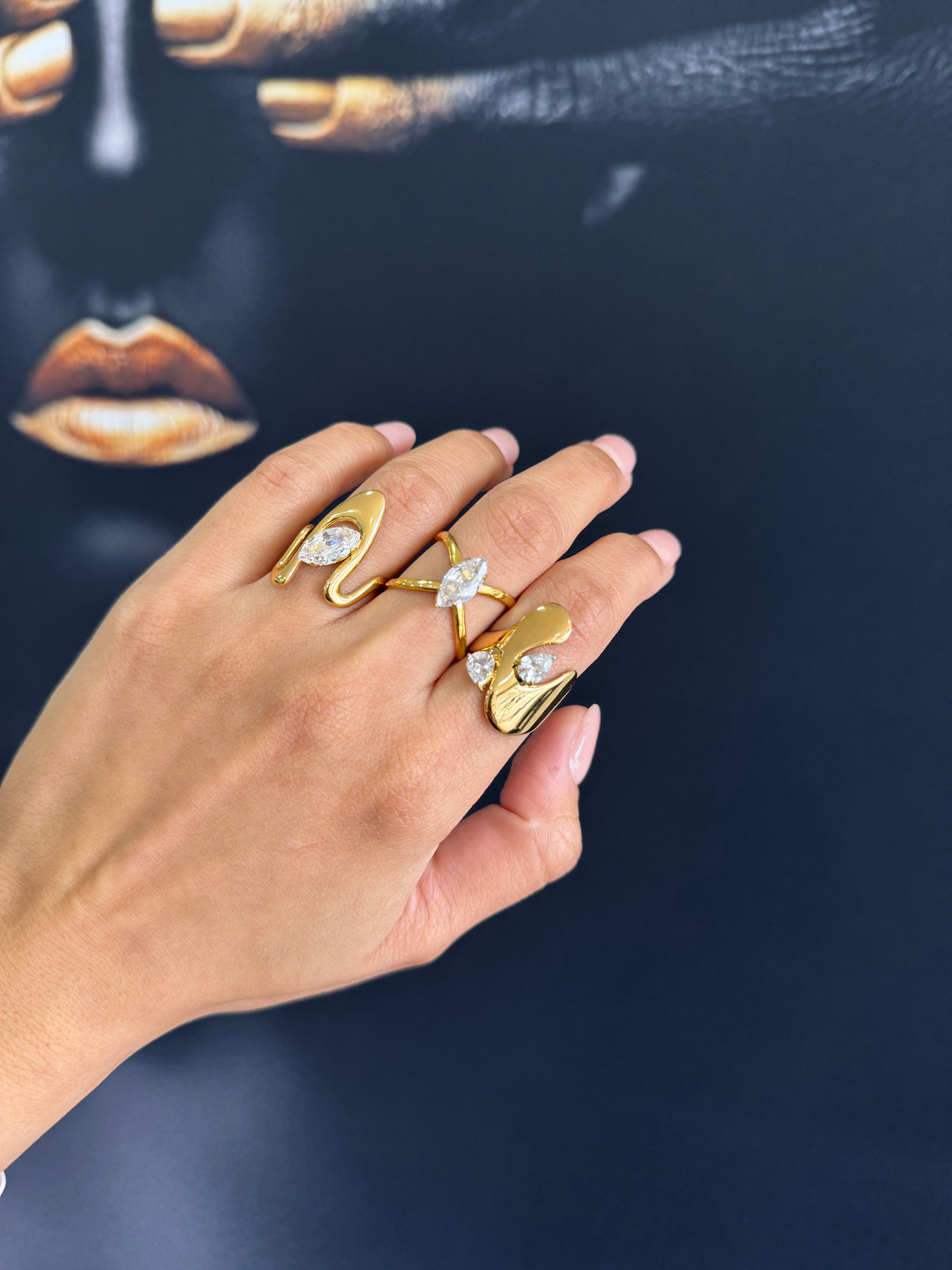 Lerici ring