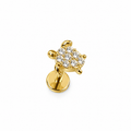 Piercing tortuga titanio