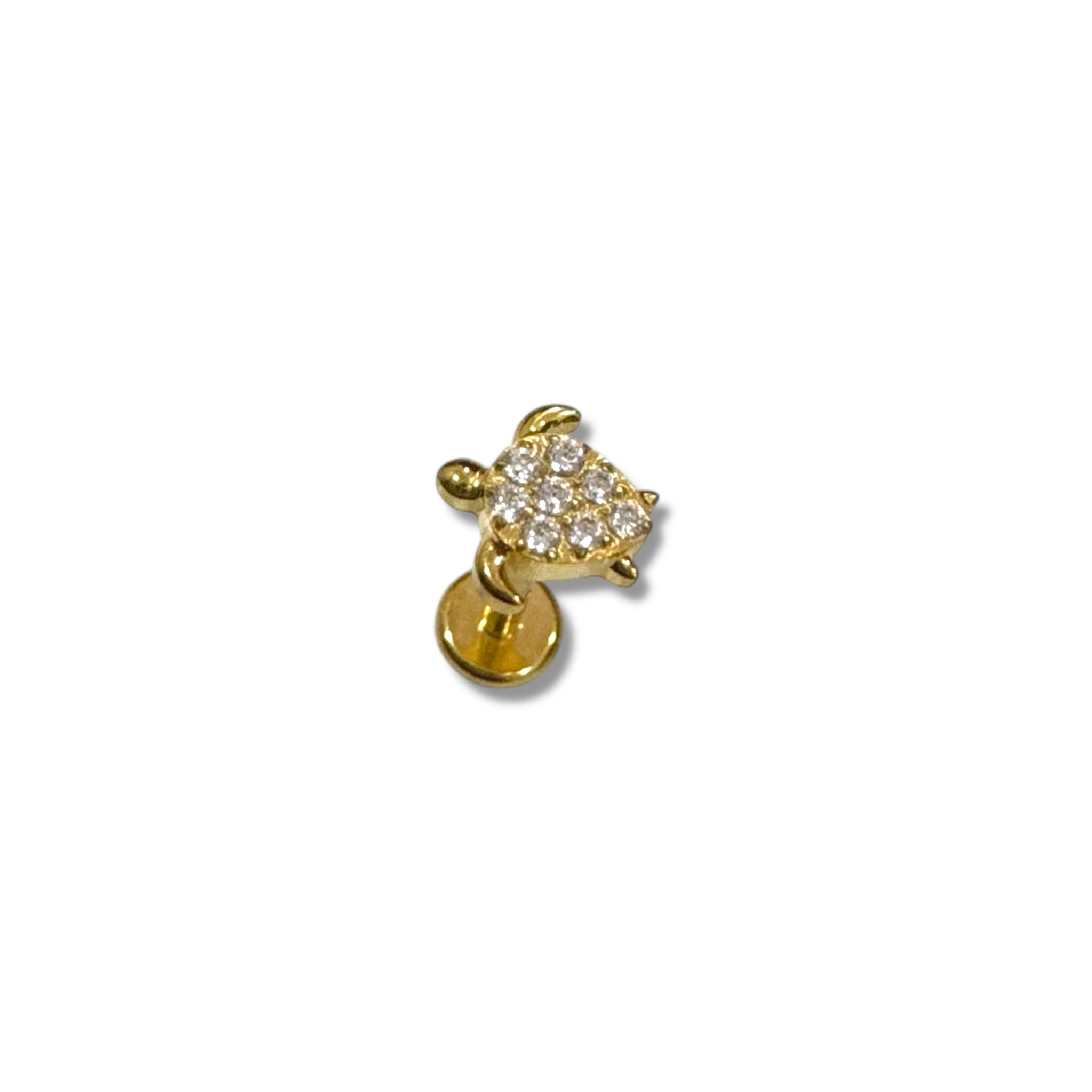 Piercing tortuga titanio