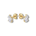Small golden Scilla studs