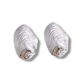 Silver clam earrings