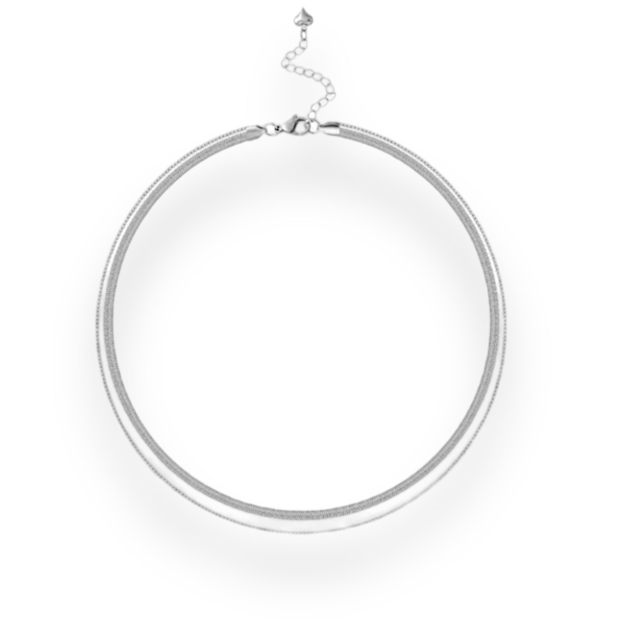 Double silver necklace
