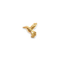 Piercing colibri