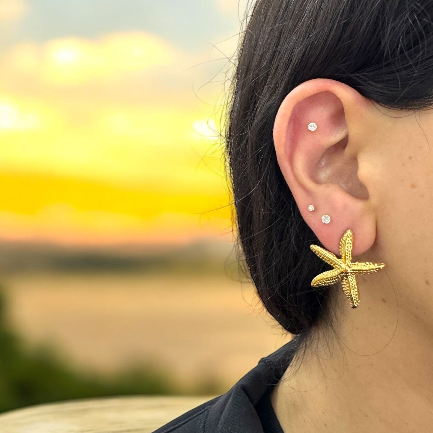 Starfish medium studs