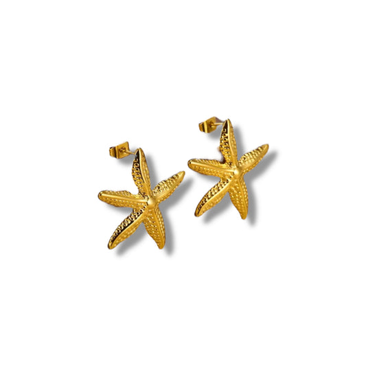 Starfish medium studs