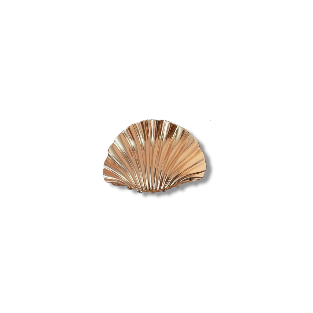 Shell hair pin