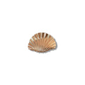 Shell hair pin