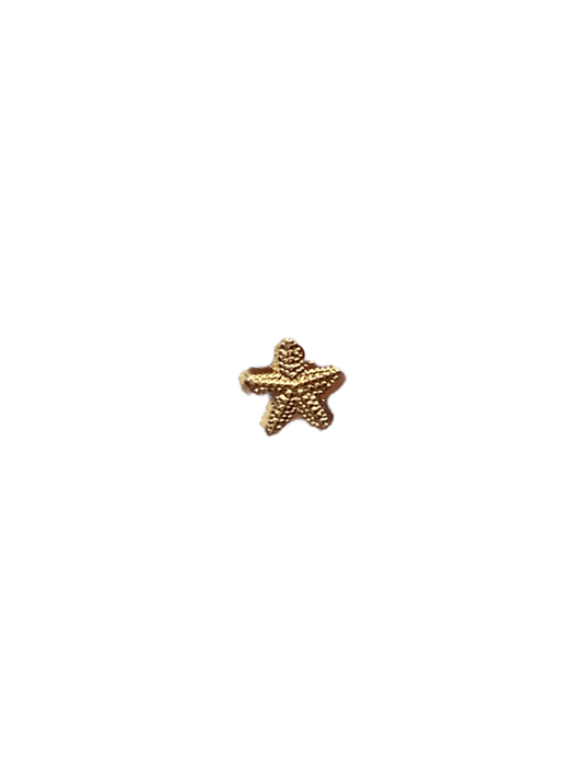 Piercing estrella de mar oro 14k - Pia Pietrina